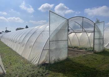 Tunel foliowy  WZMACNIANY - wymiary: 30m x 7,6m x 3m