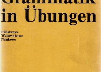 DEUTSCHE GRAMMATIK IN UBUNGEN - DŁUŻNIEWSKI