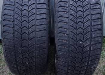 Opony DĘBICA 205/55/r16 (2019r)