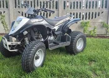 Viper QUAD E-Ton 150 Na Dużej ramie