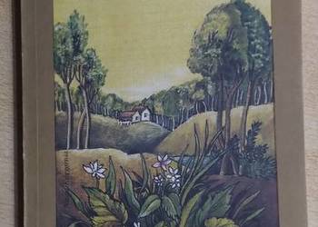 Dolina Tęczy. Dolina Tęczy.