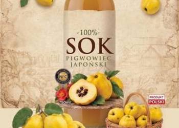 Pigwowiec japoński 100% NFC SOK