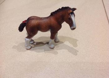 Konik Koń Źrebiak Źrebię Schleich Sygnowany