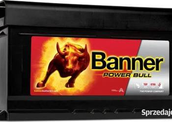 Akumulator BNNER Power Bull 80Ah 700A - SOSNOWIEC