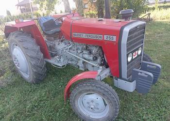 Massey Ferguson 255 Massey Ferguson 255