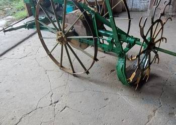 Kopaczka konna niemiecka