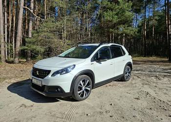 Peugeot 2008 1.6 120 BlueHdi