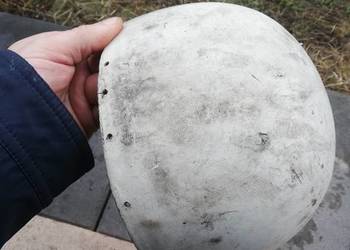 Kask orzeszek - sama skorupa