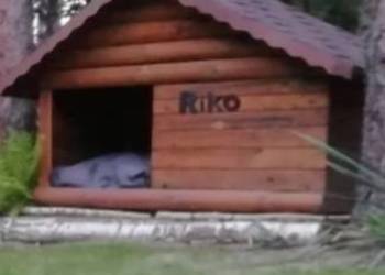 Sprzedam dużą,ocieploną budę dla psa.