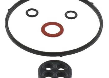 Zestaw uszczelniający 16010ZM7003