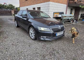 Skoda Superb anglik