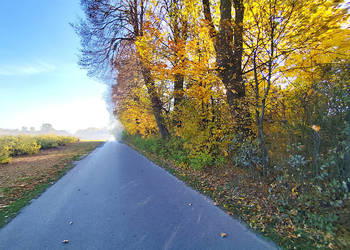 Sprzedam siedlisko w gminie Garbów