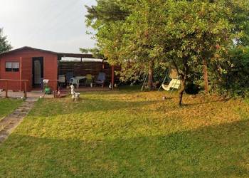 Sprzedam ogródek działkowy zlokalizowany w ROD „Powstaniec” w Chorzowie.