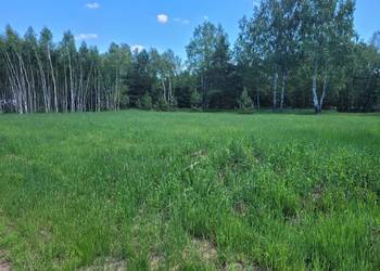 Piękne działki Dąbek