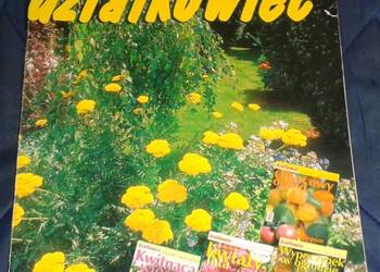 Działkowiec Nr specjalny 1-2-3-4/2004 Działkowiec Nr specjalny 1-2-3-4/2004