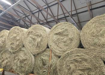 Sprzedam siano [pierwszy pokos]