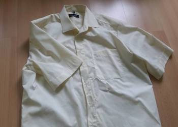 44, 176-188, XL, pierre cardin, koszula męska z kołnierzykie