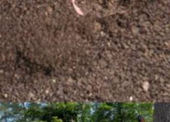 Płot Panelowy Ogrodzenie panelowe betonowe Panel PRODUCENT