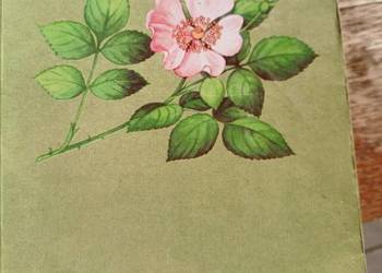 Biologia Podbielkowski podręczniki szkolne księgarnia Praga