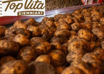 Mieszanka poplonowa Top Vita ziemniaki pod uprawę ziemniaka