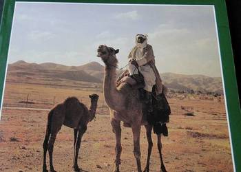 ZIEMIA ŚWIĘTA 246 ZDJĘĆ KOLOROWYCH /fa