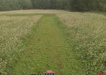 Mulczowanie, wykaszanie nieużytków, poplonów.