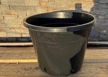 Nowe donice do uprawy borówki amerykańskiej