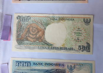 Banknot kolekcjonerski Indonezja, Litwa