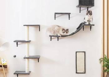 Ścianka Wspinaczkowa dla Kotów 5-Częściowy Zestaw Regałów Drewniany Park