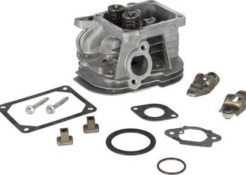 Głowica cylindra 799858