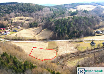 Oferta sprzedaży gruntu Wołkowyja 3992m2