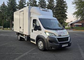 Fiat Ducato 3.0 *chłodnia *vat 23%* klimatyzacja