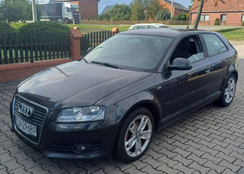 Audi A3 2.0 TDi 140KM S-Line Navi Klimatronic Parktronic 8P (2003-2012)