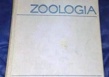 Zoologia - S. Feliksiak, W. Michajłow, Z. Raabe , K. Strawiń
