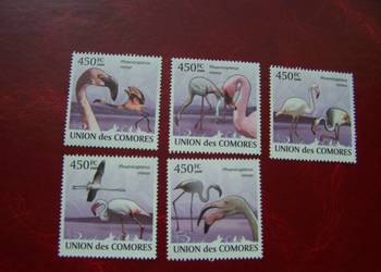 Komory 2009 MNH Fauna Ptaki Flamingi 5v set