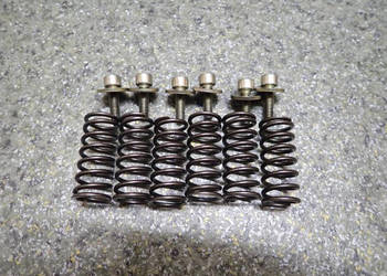 SPRĘŻYNY ŚRUBKI KOSZA SPRZĘGŁA TM RACING MX 250 4T 06R SX
