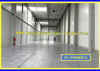 Hale wynajem Siemianowice Śląskie rampy brama poziom 0 socjal - 0% PROWIZJ…
