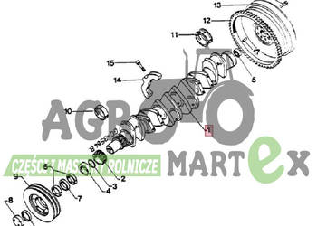 3136036R95, 3059962R93, 3139583R92, 3136327R93, 3136201R93 WAŁ KORBOWY  CNH