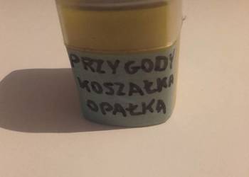 Bajka na kliszy do rzutnika PRL Przygody koszałka opałka dla dzieci