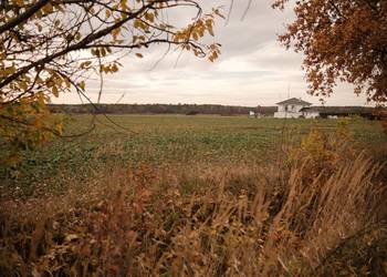 Ligotka k. Namysłowa –idealna działka pod Twój dom