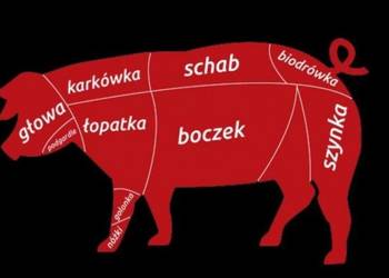 Zdrowe naturalne mięso WIEPRZOWINA OD ROLNIKA półtusze tusze wieprzowe