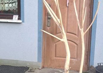Wieszak stojący z konarów , podstawa z drewna dębowego
