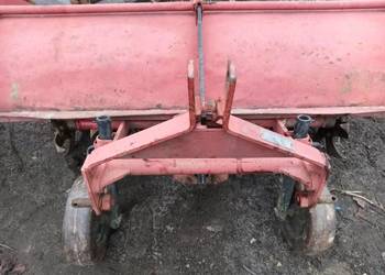 glebogryzarka grudziądzka 160cm