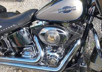 Harley davidson