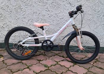 Rower dziecięcy 20"