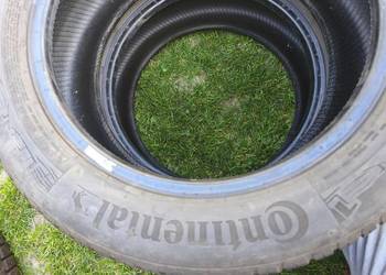 Opony Continental Allseasoncontact 195 55 16 2024r. 2szt.