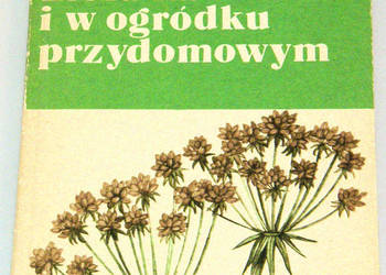 ZIOŁA NA DZIAŁCE I W OGRÓDKU PRZYDOMOWYM
