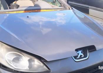 Pokrywa Silnika Peugeot 407