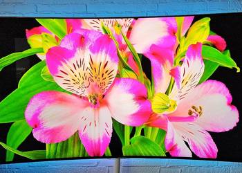 Telewizor Samsung 65" Premium UHD 4K Smart TV 120Hz