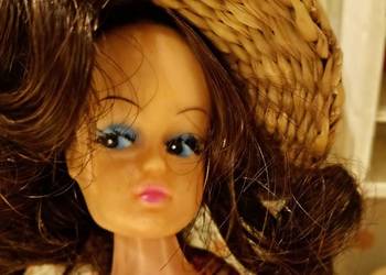 Lalki Petry ,Barbie od lat 60 do 80